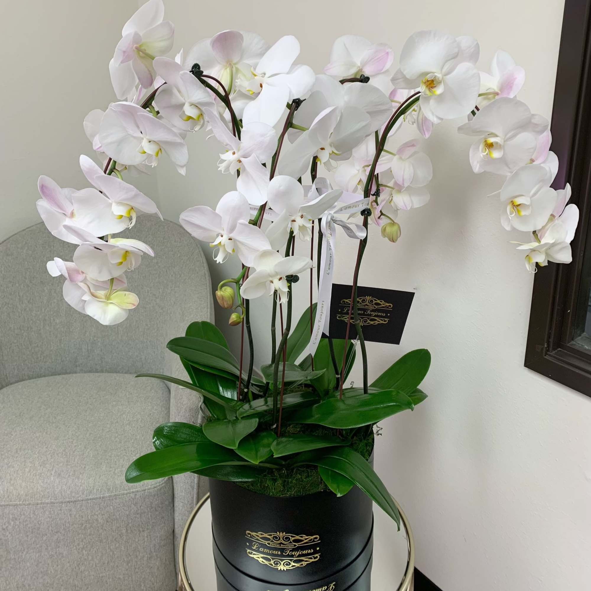Cascade of Orchids Signature Box