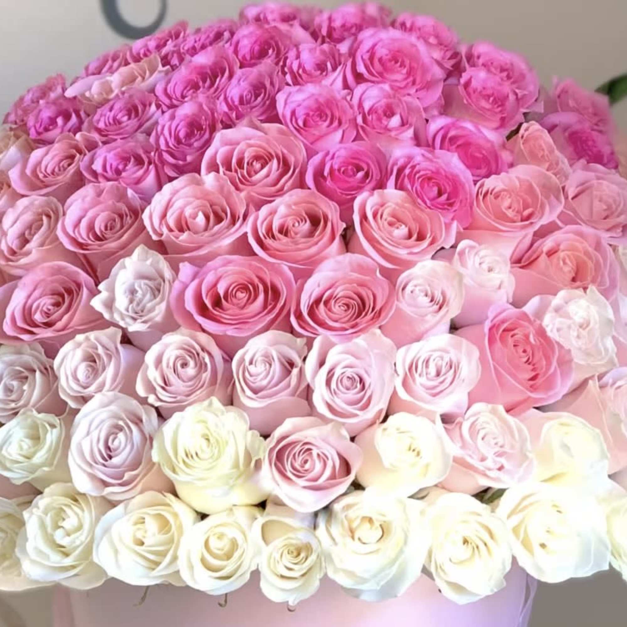 Pink Ombre Signature Box