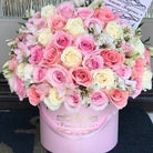 Anastasia's Signature Box