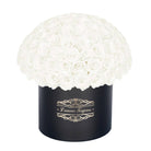 100 White Everlasting Roses - Black Signature Box