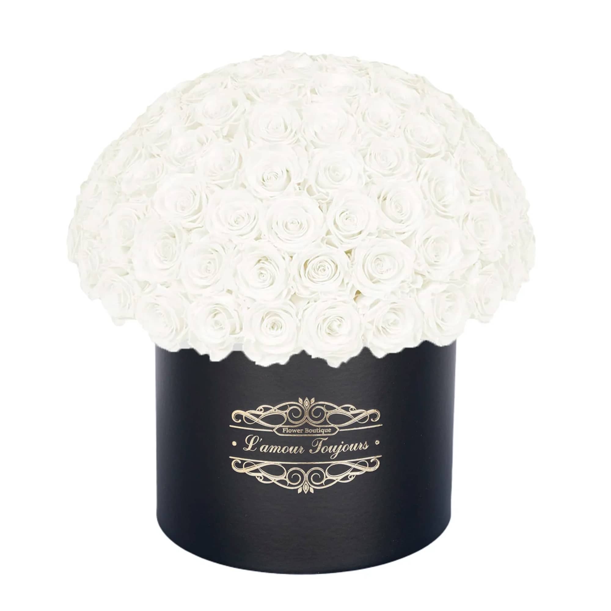 100 White Everlasting Roses - Black Signature Box