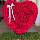 Will You be my Valentine?