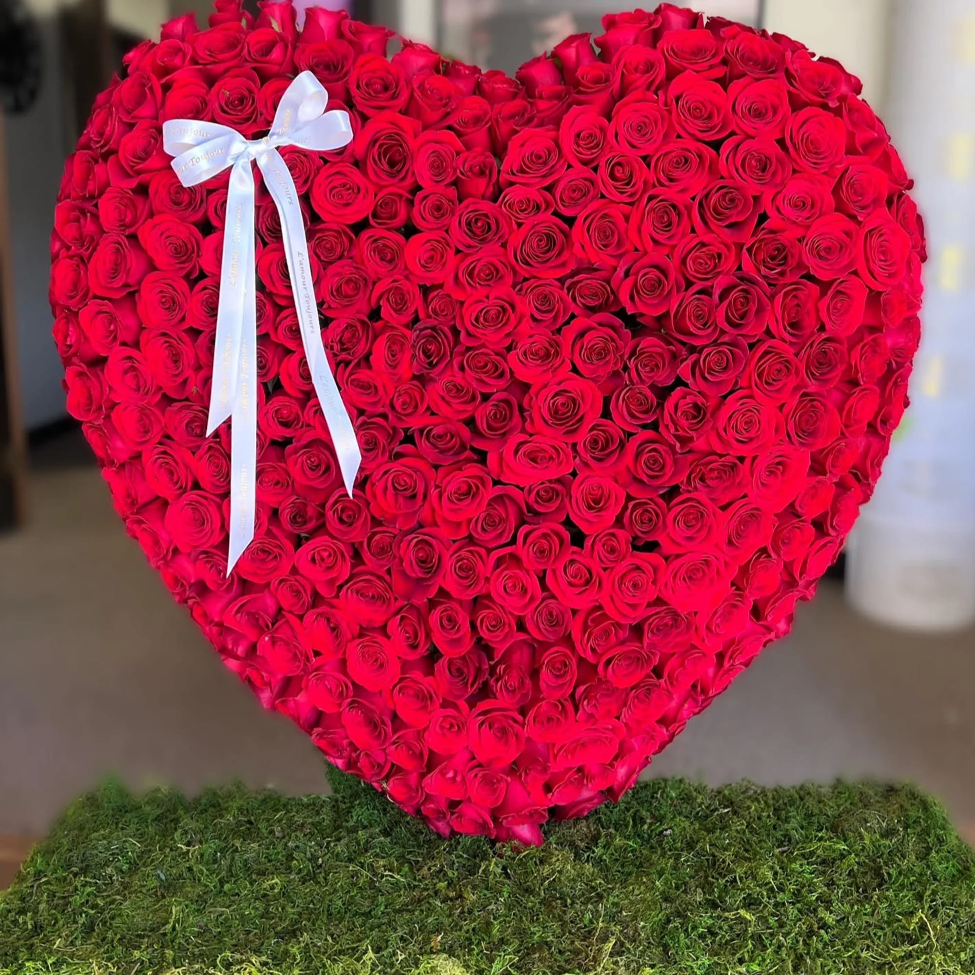 Will You be my Valentine?