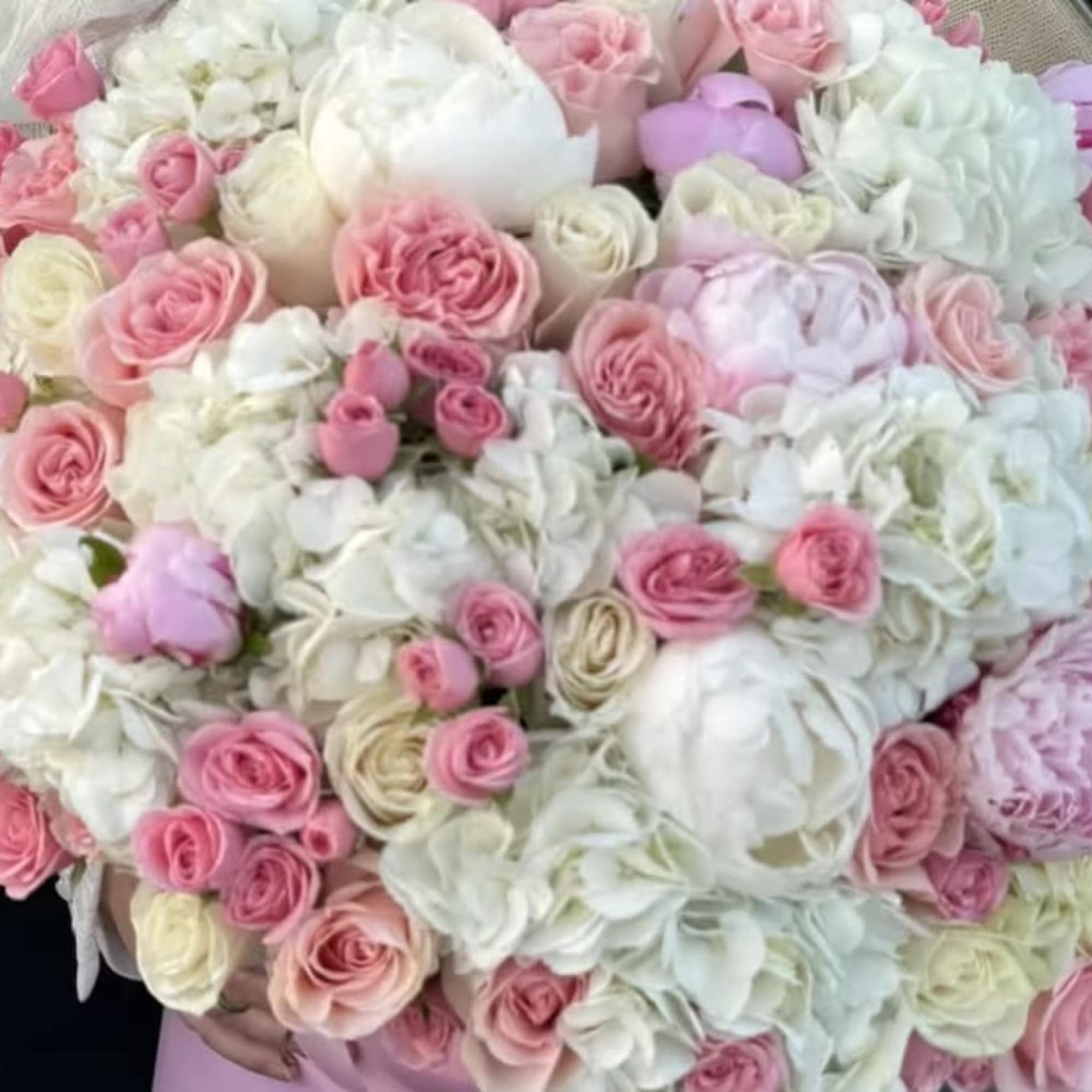 Grand peonies mix signature box