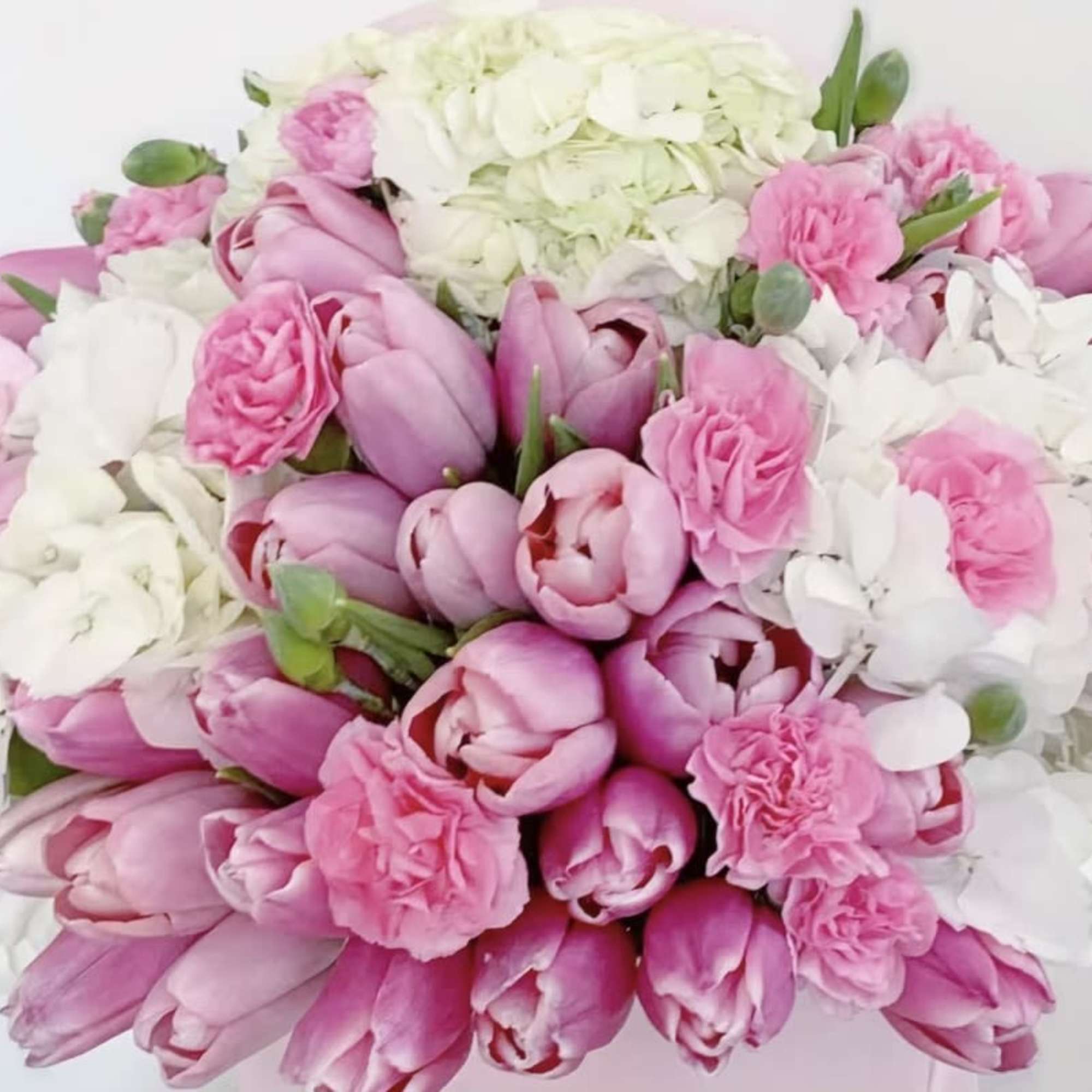 Tulips and Everything Nice Signature Box II