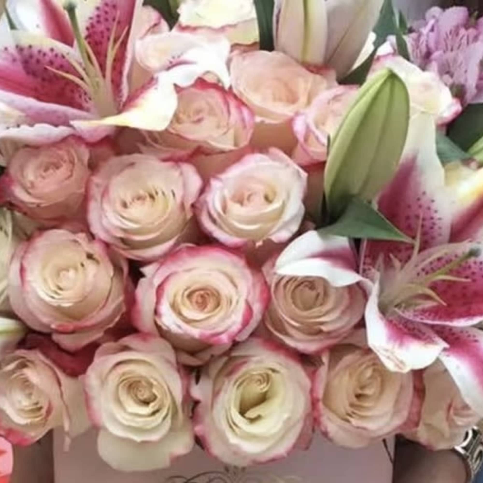 Stargazer Signature Box - Corona Del Mar Same Day Delivery